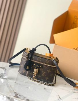 Louis Vuitton-Vanity Chain Pouch（19*11.5*6.5cm）